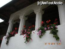 [P55]  -- <small>// FĂRĂ DESCRIERE</small> » foto by verobutterfly
 - 
<span class="allrVoted glyphicon glyphicon-heart hidden" id="av147074"></span>
<a class="m-l-10 hidden" id="sv147074" onclick="voting_Foto_DelVot(,147074,4898)" role="button">șterge vot <span class="glyphicon glyphicon-remove"></span></a>
<a id="v9147074" class=" c-red"  onclick="voting_Foto_SetVot(147074)" role="button"><span class="glyphicon glyphicon-heart-empty"></span> <b>LIKE</b> = Votează poza</a> <img class="hidden"  id="f147074W9" src="/imagini/loader.gif" border="0" /><span class="AjErrMes hidden" id="e147074ErM"></span>