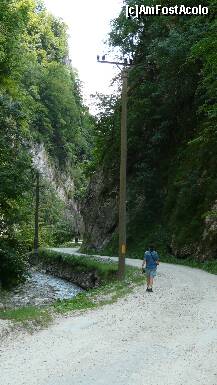 [P15] Cheile Bistritei » foto by iuliaen
 - 
<span class="allrVoted glyphicon glyphicon-heart hidden" id="av208111"></span>
<a class="m-l-10 hidden" id="sv208111" onclick="voting_Foto_DelVot(,208111,4898)" role="button">șterge vot <span class="glyphicon glyphicon-remove"></span></a>
<a id="v9208111" class=" c-red"  onclick="voting_Foto_SetVot(208111)" role="button"><span class="glyphicon glyphicon-heart-empty"></span> <b>LIKE</b> = Votează poza</a> <img class="hidden"  id="f208111W9" src="/imagini/loader.gif" border="0" /><span class="AjErrMes hidden" id="e208111ErM"></span>