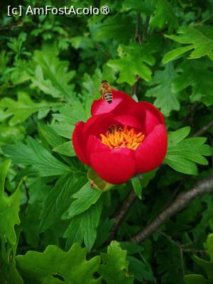 [P01]  -- <small>// FĂRĂ DESCRIERE</small> » foto by Cristian_h
 - 
<span class="allrVoted glyphicon glyphicon-heart hidden" id="av1518516"></span>
<a class="m-l-10 hidden" id="sv1518516" onclick="voting_Foto_DelVot(,1518516,4898)" role="button">șterge vot <span class="glyphicon glyphicon-remove"></span></a>
<a id="v91518516" class=" c-red"  onclick="voting_Foto_SetVot(1518516)" role="button"><span class="glyphicon glyphicon-heart-empty"></span> <b>LIKE</b> = Votează poza</a> <img class="hidden"  id="f1518516W9" src="/imagini/loader.gif" border="0" /><span class="AjErrMes hidden" id="e1518516ErM"></span>