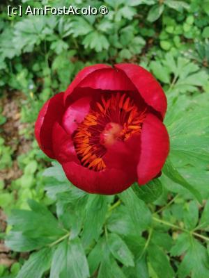 [P06]  -- <small>// FĂRĂ DESCRIERE</small> » foto by Cristian_h
 - 
<span class="allrVoted glyphicon glyphicon-heart hidden" id="av1518521"></span>
<a class="m-l-10 hidden" id="sv1518521" onclick="voting_Foto_DelVot(,1518521,4898)" role="button">șterge vot <span class="glyphicon glyphicon-remove"></span></a>
<a id="v91518521" class=" c-red"  onclick="voting_Foto_SetVot(1518521)" role="button"><span class="glyphicon glyphicon-heart-empty"></span> <b>LIKE</b> = Votează poza</a> <img class="hidden"  id="f1518521W9" src="/imagini/loader.gif" border="0" /><span class="AjErrMes hidden" id="e1518521ErM"></span>