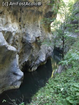 [P10]  -- <small>// FĂRĂ DESCRIERE</small> » foto by Cristian_h
 - 
<span class="allrVoted glyphicon glyphicon-heart hidden" id="av936881"></span>
<a class="m-l-10 hidden" id="sv936881" onclick="voting_Foto_DelVot(,936881,4898)" role="button">șterge vot <span class="glyphicon glyphicon-remove"></span></a>
<a id="v9936881" class=" c-red"  onclick="voting_Foto_SetVot(936881)" role="button"><span class="glyphicon glyphicon-heart-empty"></span> <b>LIKE</b> = Votează poza</a> <img class="hidden"  id="f936881W9" src="/imagini/loader.gif" border="0" /><span class="AjErrMes hidden" id="e936881ErM"></span>