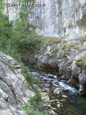 [P11]  -- <small>// FĂRĂ DESCRIERE</small> » foto by Cristian_h
 - 
<span class="allrVoted glyphicon glyphicon-heart hidden" id="av936882"></span>
<a class="m-l-10 hidden" id="sv936882" onclick="voting_Foto_DelVot(,936882,4898)" role="button">șterge vot <span class="glyphicon glyphicon-remove"></span></a>
<a id="v9936882" class=" c-red"  onclick="voting_Foto_SetVot(936882)" role="button"><span class="glyphicon glyphicon-heart-empty"></span> <b>LIKE</b> = Votează poza</a> <img class="hidden"  id="f936882W9" src="/imagini/loader.gif" border="0" /><span class="AjErrMes hidden" id="e936882ErM"></span>