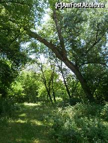 [P13] Un colt de rai » foto by Floria
 - 
<span class="allrVoted glyphicon glyphicon-heart hidden" id="av299272"></span>
<a class="m-l-10 hidden" id="sv299272" onclick="voting_Foto_DelVot(,299272,4898)" role="button">șterge vot <span class="glyphicon glyphicon-remove"></span></a>
<a id="v9299272" class=" c-red"  onclick="voting_Foto_SetVot(299272)" role="button"><span class="glyphicon glyphicon-heart-empty"></span> <b>LIKE</b> = Votează poza</a> <img class="hidden"  id="f299272W9" src="/imagini/loader.gif" border="0" /><span class="AjErrMes hidden" id="e299272ErM"></span>