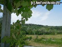 [P02] Priveliste de pe prispa casei. » foto by Floria
 - 
<span class="allrVoted glyphicon glyphicon-heart hidden" id="av299127"></span>
<a class="m-l-10 hidden" id="sv299127" onclick="voting_Foto_DelVot(,299127,4898)" role="button">șterge vot <span class="glyphicon glyphicon-remove"></span></a>
<a id="v9299127" class=" c-red"  onclick="voting_Foto_SetVot(299127)" role="button"><span class="glyphicon glyphicon-heart-empty"></span> <b>LIKE</b> = Votează poza</a> <img class="hidden"  id="f299127W9" src="/imagini/loader.gif" border="0" /><span class="AjErrMes hidden" id="e299127ErM"></span>