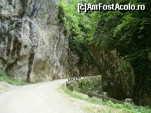 [P21] Cheile spectaculoase ale Bistritei » foto by Floria
 - 
<span class="allrVoted glyphicon glyphicon-heart hidden" id="av299282"></span>
<a class="m-l-10 hidden" id="sv299282" onclick="voting_Foto_DelVot(,299282,4898)" role="button">șterge vot <span class="glyphicon glyphicon-remove"></span></a>
<a id="v9299282" class=" c-red"  onclick="voting_Foto_SetVot(299282)" role="button"><span class="glyphicon glyphicon-heart-empty"></span> <b>LIKE</b> = Votează poza</a> <img class="hidden"  id="f299282W9" src="/imagini/loader.gif" border="0" /><span class="AjErrMes hidden" id="e299282ErM"></span>