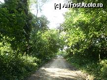 [P03] La plimbare pe un drum tot mai rar umblat. » foto by Floria
 - 
<span class="allrVoted glyphicon glyphicon-heart hidden" id="av299128"></span>
<a class="m-l-10 hidden" id="sv299128" onclick="voting_Foto_DelVot(,299128,4898)" role="button">șterge vot <span class="glyphicon glyphicon-remove"></span></a>
<a id="v9299128" class=" c-red"  onclick="voting_Foto_SetVot(299128)" role="button"><span class="glyphicon glyphicon-heart-empty"></span> <b>LIKE</b> = Votează poza</a> <img class="hidden"  id="f299128W9" src="/imagini/loader.gif" border="0" /><span class="AjErrMes hidden" id="e299128ErM"></span>