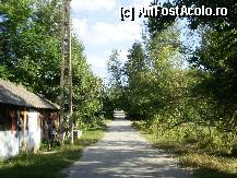 [P04] Satul isi asteapta nepotii plecati la oras. » foto by Floria
 - 
<span class="allrVoted glyphicon glyphicon-heart hidden" id="av299129"></span>
<a class="m-l-10 hidden" id="sv299129" onclick="voting_Foto_DelVot(,299129,4898)" role="button">șterge vot <span class="glyphicon glyphicon-remove"></span></a>
<a id="v9299129" class=" c-red"  onclick="voting_Foto_SetVot(299129)" role="button"><span class="glyphicon glyphicon-heart-empty"></span> <b>LIKE</b> = Votează poza</a> <img class="hidden"  id="f299129W9" src="/imagini/loader.gif" border="0" /><span class="AjErrMes hidden" id="e299129ErM"></span>