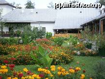 [P45] Gradina cu flori a Manastirii Dintr-un Lemn. » foto by Floria
 - 
<span class="allrVoted glyphicon glyphicon-heart hidden" id="av300070"></span>
<a class="m-l-10 hidden" id="sv300070" onclick="voting_Foto_DelVot(,300070,4898)" role="button">șterge vot <span class="glyphicon glyphicon-remove"></span></a>
<a id="v9300070" class=" c-red"  onclick="voting_Foto_SetVot(300070)" role="button"><span class="glyphicon glyphicon-heart-empty"></span> <b>LIKE</b> = Votează poza</a> <img class="hidden"  id="f300070W9" src="/imagini/loader.gif" border="0" /><span class="AjErrMes hidden" id="e300070ErM"></span>