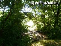 [P05] Podet peste apele unui parau. » foto by Floria
 - 
<span class="allrVoted glyphicon glyphicon-heart hidden" id="av299130"></span>
<a class="m-l-10 hidden" id="sv299130" onclick="voting_Foto_DelVot(,299130,4898)" role="button">șterge vot <span class="glyphicon glyphicon-remove"></span></a>
<a id="v9299130" class=" c-red"  onclick="voting_Foto_SetVot(299130)" role="button"><span class="glyphicon glyphicon-heart-empty"></span> <b>LIKE</b> = Votează poza</a> <img class="hidden"  id="f299130W9" src="/imagini/loader.gif" border="0" /><span class="AjErrMes hidden" id="e299130ErM"></span>