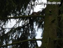 [P58] Un musafir binevenit in curtea casei noastre. » foto by Floria
 - 
<span class="allrVoted glyphicon glyphicon-heart hidden" id="av300085"></span>
<a class="m-l-10 hidden" id="sv300085" onclick="voting_Foto_DelVot(,300085,4898)" role="button">șterge vot <span class="glyphicon glyphicon-remove"></span></a>
<a id="v9300085" class=" c-red"  onclick="voting_Foto_SetVot(300085)" role="button"><span class="glyphicon glyphicon-heart-empty"></span> <b>LIKE</b> = Votează poza</a> <img class="hidden"  id="f300085W9" src="/imagini/loader.gif" border="0" /><span class="AjErrMes hidden" id="e300085ErM"></span>