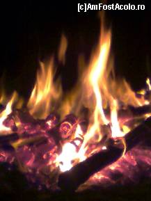 [P01] Focul de pe plaja de la Bascov, la caderea intunericului » foto by liviadavidescu
 - 
<span class="allrVoted glyphicon glyphicon-heart hidden" id="av148033"></span>
<a class="m-l-10 hidden" id="sv148033" onclick="voting_Foto_DelVot(,148033,4898)" role="button">șterge vot <span class="glyphicon glyphicon-remove"></span></a>
<a id="v9148033" class=" c-red"  onclick="voting_Foto_SetVot(148033)" role="button"><span class="glyphicon glyphicon-heart-empty"></span> <b>LIKE</b> = Votează poza</a> <img class="hidden"  id="f148033W9" src="/imagini/loader.gif" border="0" /><span class="AjErrMes hidden" id="e148033ErM"></span>