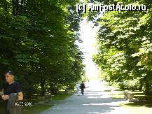 [P10] Aleea Scaunelor liniste curatenie si foarte multa verdeata » foto by Valentina69
 - 
<span class="allrVoted glyphicon glyphicon-heart hidden" id="av78602"></span>
<a class="m-l-10 hidden" id="sv78602" onclick="voting_Foto_DelVot(,78602,4898)" role="button">șterge vot <span class="glyphicon glyphicon-remove"></span></a>
<a id="v978602" class=" c-red"  onclick="voting_Foto_SetVot(78602)" role="button"><span class="glyphicon glyphicon-heart-empty"></span> <b>LIKE</b> = Votează poza</a> <img class="hidden"  id="f78602W9" src="/imagini/loader.gif" border="0" /><span class="AjErrMes hidden" id="e78602ErM"></span>