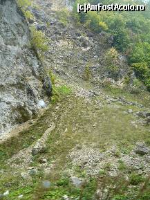 [P14]  -- <small>// FĂRĂ DESCRIERE</small> » foto by alinush_geo
 - 
<span class="allrVoted glyphicon glyphicon-heart hidden" id="av148955"></span>
<a class="m-l-10 hidden" id="sv148955" onclick="voting_Foto_DelVot(,148955,4898)" role="button">șterge vot <span class="glyphicon glyphicon-remove"></span></a>
<a id="v9148955" class=" c-red"  onclick="voting_Foto_SetVot(148955)" role="button"><span class="glyphicon glyphicon-heart-empty"></span> <b>LIKE</b> = Votează poza</a> <img class="hidden"  id="f148955W9" src="/imagini/loader.gif" border="0" /><span class="AjErrMes hidden" id="e148955ErM"></span>