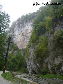 [P15]  -- <small>// FĂRĂ DESCRIERE</small> » foto by alinush_geo
 - 
<span class="allrVoted glyphicon glyphicon-heart hidden" id="av148956"></span>
<a class="m-l-10 hidden" id="sv148956" onclick="voting_Foto_DelVot(,148956,4898)" role="button">șterge vot <span class="glyphicon glyphicon-remove"></span></a>
<a id="v9148956" class=" c-red"  onclick="voting_Foto_SetVot(148956)" role="button"><span class="glyphicon glyphicon-heart-empty"></span> <b>LIKE</b> = Votează poza</a> <img class="hidden"  id="f148956W9" src="/imagini/loader.gif" border="0" /><span class="AjErrMes hidden" id="e148956ErM"></span>