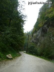 [P16]  -- <small>// FĂRĂ DESCRIERE</small> » foto by alinush_geo
 - 
<span class="allrVoted glyphicon glyphicon-heart hidden" id="av148957"></span>
<a class="m-l-10 hidden" id="sv148957" onclick="voting_Foto_DelVot(,148957,4898)" role="button">șterge vot <span class="glyphicon glyphicon-remove"></span></a>
<a id="v9148957" class=" c-red"  onclick="voting_Foto_SetVot(148957)" role="button"><span class="glyphicon glyphicon-heart-empty"></span> <b>LIKE</b> = Votează poza</a> <img class="hidden"  id="f148957W9" src="/imagini/loader.gif" border="0" /><span class="AjErrMes hidden" id="e148957ErM"></span>