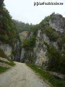 [P02]  -- <small>// FĂRĂ DESCRIERE</small> » foto by alinush_geo
 - 
<span class="allrVoted glyphicon glyphicon-heart hidden" id="av148943"></span>
<a class="m-l-10 hidden" id="sv148943" onclick="voting_Foto_DelVot(,148943,4898)" role="button">șterge vot <span class="glyphicon glyphicon-remove"></span></a>
<a id="v9148943" class=" c-red"  onclick="voting_Foto_SetVot(148943)" role="button"><span class="glyphicon glyphicon-heart-empty"></span> <b>LIKE</b> = Votează poza</a> <img class="hidden"  id="f148943W9" src="/imagini/loader.gif" border="0" /><span class="AjErrMes hidden" id="e148943ErM"></span>