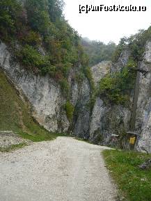 [P03] cheile » foto by alinush_geo
 - 
<span class="allrVoted glyphicon glyphicon-heart hidden" id="av148944"></span>
<a class="m-l-10 hidden" id="sv148944" onclick="voting_Foto_DelVot(,148944,4898)" role="button">șterge vot <span class="glyphicon glyphicon-remove"></span></a>
<a id="v9148944" class=" c-red"  onclick="voting_Foto_SetVot(148944)" role="button"><span class="glyphicon glyphicon-heart-empty"></span> <b>LIKE</b> = Votează poza</a> <img class="hidden"  id="f148944W9" src="/imagini/loader.gif" border="0" /><span class="AjErrMes hidden" id="e148944ErM"></span>