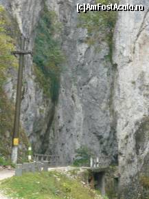 [P05]  -- <small>// FĂRĂ DESCRIERE</small> » foto by alinush_geo
 - 
<span class="allrVoted glyphicon glyphicon-heart hidden" id="av148946"></span>
<a class="m-l-10 hidden" id="sv148946" onclick="voting_Foto_DelVot(,148946,4898)" role="button">șterge vot <span class="glyphicon glyphicon-remove"></span></a>
<a id="v9148946" class=" c-red"  onclick="voting_Foto_SetVot(148946)" role="button"><span class="glyphicon glyphicon-heart-empty"></span> <b>LIKE</b> = Votează poza</a> <img class="hidden"  id="f148946W9" src="/imagini/loader.gif" border="0" /><span class="AjErrMes hidden" id="e148946ErM"></span>