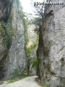 [P06] drum printre chei » foto by alinush_geo
 - 
<span class="allrVoted glyphicon glyphicon-heart hidden" id="av148947"></span>
<a class="m-l-10 hidden" id="sv148947" onclick="voting_Foto_DelVot(,148947,4898)" role="button">șterge vot <span class="glyphicon glyphicon-remove"></span></a>
<a id="v9148947" class=" c-red"  onclick="voting_Foto_SetVot(148947)" role="button"><span class="glyphicon glyphicon-heart-empty"></span> <b>LIKE</b> = Votează poza</a> <img class="hidden"  id="f148947W9" src="/imagini/loader.gif" border="0" /><span class="AjErrMes hidden" id="e148947ErM"></span>