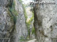 [P07]  -- <small>// FĂRĂ DESCRIERE</small> » foto by alinush_geo
 - 
<span class="allrVoted glyphicon glyphicon-heart hidden" id="av148948"></span>
<a class="m-l-10 hidden" id="sv148948" onclick="voting_Foto_DelVot(,148948,4898)" role="button">șterge vot <span class="glyphicon glyphicon-remove"></span></a>
<a id="v9148948" class=" c-red"  onclick="voting_Foto_SetVot(148948)" role="button"><span class="glyphicon glyphicon-heart-empty"></span> <b>LIKE</b> = Votează poza</a> <img class="hidden"  id="f148948W9" src="/imagini/loader.gif" border="0" /><span class="AjErrMes hidden" id="e148948ErM"></span>