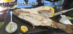 [P12] Pensiunea Moara Viselor » foto by Nobodyforever
 - 
<span class="allrVoted glyphicon glyphicon-heart hidden" id="av1381026"></span>
<a class="m-l-10 hidden" id="sv1381026" onclick="voting_Foto_DelVot(,1381026,4898)" role="button">șterge vot <span class="glyphicon glyphicon-remove"></span></a>
<a id="v91381026" class=" c-red"  onclick="voting_Foto_SetVot(1381026)" role="button"><span class="glyphicon glyphicon-heart-empty"></span> <b>LIKE</b> = Votează poza</a> <img class="hidden"  id="f1381026W9" src="/imagini/loader.gif" border="0" /><span class="AjErrMes hidden" id="e1381026ErM"></span>