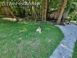 [P07] Pensiunea Moara Viselor » foto by Nobodyforever
 - 
<span class="allrVoted glyphicon glyphicon-heart hidden" id="av1381021"></span>
<a class="m-l-10 hidden" id="sv1381021" onclick="voting_Foto_DelVot(,1381021,4898)" role="button">șterge vot <span class="glyphicon glyphicon-remove"></span></a>
<a id="v91381021" class=" c-red"  onclick="voting_Foto_SetVot(1381021)" role="button"><span class="glyphicon glyphicon-heart-empty"></span> <b>LIKE</b> = Votează poza</a> <img class="hidden"  id="f1381021W9" src="/imagini/loader.gif" border="0" /><span class="AjErrMes hidden" id="e1381021ErM"></span>