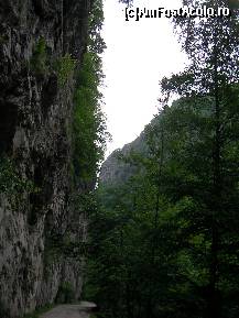 [P23] Cheile Oltetului » foto by ancamariagadea*
 - 
<span class="allrVoted glyphicon glyphicon-heart hidden" id="av77844"></span>
<a class="m-l-10 hidden" id="sv77844" onclick="voting_Foto_DelVot(,77844,4898)" role="button">șterge vot <span class="glyphicon glyphicon-remove"></span></a>
<a id="v977844" class=" c-red"  onclick="voting_Foto_SetVot(77844)" role="button"><span class="glyphicon glyphicon-heart-empty"></span> <b>LIKE</b> = Votează poza</a> <img class="hidden"  id="f77844W9" src="/imagini/loader.gif" border="0" /><span class="AjErrMes hidden" id="e77844ErM"></span>