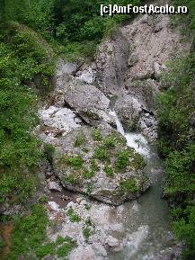 [P25] Oltetul printre cheile sale » foto by ancamariagadea*
 - 
<span class="allrVoted glyphicon glyphicon-heart hidden" id="av77846"></span>
<a class="m-l-10 hidden" id="sv77846" onclick="voting_Foto_DelVot(,77846,4898)" role="button">șterge vot <span class="glyphicon glyphicon-remove"></span></a>
<a id="v977846" class=" c-red"  onclick="voting_Foto_SetVot(77846)" role="button"><span class="glyphicon glyphicon-heart-empty"></span> <b>LIKE</b> = Votează poza</a> <img class="hidden"  id="f77846W9" src="/imagini/loader.gif" border="0" /><span class="AjErrMes hidden" id="e77846ErM"></span>