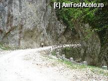 [P11] Stanci cu forme bizare. » foto by vtudor58
 - 
<span class="allrVoted glyphicon glyphicon-heart hidden" id="av79318"></span>
<a class="m-l-10 hidden" id="sv79318" onclick="voting_Foto_DelVot(,79318,4898)" role="button">șterge vot <span class="glyphicon glyphicon-remove"></span></a>
<a id="v979318" class=" c-red"  onclick="voting_Foto_SetVot(79318)" role="button"><span class="glyphicon glyphicon-heart-empty"></span> <b>LIKE</b> = Votează poza</a> <img class="hidden"  id="f79318W9" src="/imagini/loader.gif" border="0" /><span class="AjErrMes hidden" id="e79318ErM"></span>