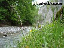 [P14] Vegetatia din apropierea raului. » foto by vtudor58
 - 
<span class="allrVoted glyphicon glyphicon-heart hidden" id="av79321"></span>
<a class="m-l-10 hidden" id="sv79321" onclick="voting_Foto_DelVot(,79321,4898)" role="button">șterge vot <span class="glyphicon glyphicon-remove"></span></a>
<a id="v979321" class=" c-red"  onclick="voting_Foto_SetVot(79321)" role="button"><span class="glyphicon glyphicon-heart-empty"></span> <b>LIKE</b> = Votează poza</a> <img class="hidden"  id="f79321W9" src="/imagini/loader.gif" border="0" /><span class="AjErrMes hidden" id="e79321ErM"></span>