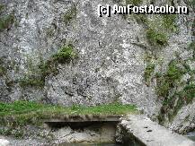 [P19] Inscriptii ale 'civilizatiei' moderne. » foto by vtudor58
 - 
<span class="allrVoted glyphicon glyphicon-heart hidden" id="av79326"></span>
<a class="m-l-10 hidden" id="sv79326" onclick="voting_Foto_DelVot(,79326,4898)" role="button">șterge vot <span class="glyphicon glyphicon-remove"></span></a>
<a id="v979326" class=" c-red"  onclick="voting_Foto_SetVot(79326)" role="button"><span class="glyphicon glyphicon-heart-empty"></span> <b>LIKE</b> = Votează poza</a> <img class="hidden"  id="f79326W9" src="/imagini/loader.gif" border="0" /><span class="AjErrMes hidden" id="e79326ErM"></span>