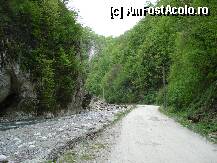 [P06] Drumul forestier si raul Bistrita. » foto by vtudor58
 - 
<span class="allrVoted glyphicon glyphicon-heart hidden" id="av79312"></span>
<a class="m-l-10 hidden" id="sv79312" onclick="voting_Foto_DelVot(,79312,4898)" role="button">șterge vot <span class="glyphicon glyphicon-remove"></span></a>
<a id="v979312" class=" c-red"  onclick="voting_Foto_SetVot(79312)" role="button"><span class="glyphicon glyphicon-heart-empty"></span> <b>LIKE</b> = Votează poza</a> <img class="hidden"  id="f79312W9" src="/imagini/loader.gif" border="0" /><span class="AjErrMes hidden" id="e79312ErM"></span>