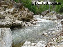 [P09] Raul Bistrita ce curge tumultos de-a lungul cheilor. » foto by vtudor58
 - 
<span class="allrVoted glyphicon glyphicon-heart hidden" id="av79315"></span>
<a class="m-l-10 hidden" id="sv79315" onclick="voting_Foto_DelVot(,79315,4898)" role="button">șterge vot <span class="glyphicon glyphicon-remove"></span></a>
<a id="v979315" class=" c-red"  onclick="voting_Foto_SetVot(79315)" role="button"><span class="glyphicon glyphicon-heart-empty"></span> <b>LIKE</b> = Votează poza</a> <img class="hidden"  id="f79315W9" src="/imagini/loader.gif" border="0" /><span class="AjErrMes hidden" id="e79315ErM"></span>