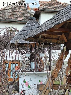 [P12] F&acirc;nt&acirc;na și casa veche. » foto by tata123 🔱
 - 
<span class="allrVoted glyphicon glyphicon-heart hidden" id="av1349795"></span>
<a class="m-l-10 hidden" id="sv1349795" onclick="voting_Foto_DelVot(,1349795,4898)" role="button">șterge vot <span class="glyphicon glyphicon-remove"></span></a>
<a id="v91349795" class=" c-red"  onclick="voting_Foto_SetVot(1349795)" role="button"><span class="glyphicon glyphicon-heart-empty"></span> <b>LIKE</b> = Votează poza</a> <img class="hidden"  id="f1349795W9" src="/imagini/loader.gif" border="0" /><span class="AjErrMes hidden" id="e1349795ErM"></span>