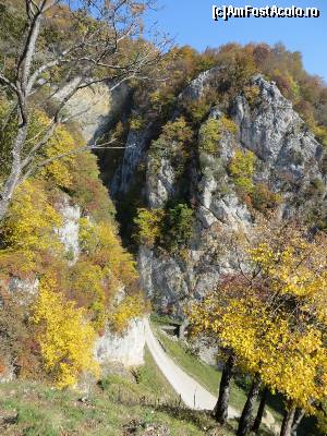[P11] Toamna pe Cheile Bistriței Oltene.  » foto by tata123 🔱
 - 
<span class="allrVoted glyphicon glyphicon-heart hidden" id="av602773"></span>
<a class="m-l-10 hidden" id="sv602773" onclick="voting_Foto_DelVot(,602773,4898)" role="button">șterge vot <span class="glyphicon glyphicon-remove"></span></a>
<a id="v9602773" class=" c-red"  onclick="voting_Foto_SetVot(602773)" role="button"><span class="glyphicon glyphicon-heart-empty"></span> <b>LIKE</b> = Votează poza</a> <img class="hidden"  id="f602773W9" src="/imagini/loader.gif" border="0" /><span class="AjErrMes hidden" id="e602773ErM"></span>