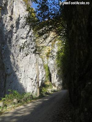 [P17] Porțiunea cea mai îngustă a Cheilor Bistriței Oltene.  » foto by tata123 🔱
 - 
<span class="allrVoted glyphicon glyphicon-heart hidden" id="av602779"></span>
<a class="m-l-10 hidden" id="sv602779" onclick="voting_Foto_DelVot(,602779,4898)" role="button">șterge vot <span class="glyphicon glyphicon-remove"></span></a>
<a id="v9602779" class=" c-red"  onclick="voting_Foto_SetVot(602779)" role="button"><span class="glyphicon glyphicon-heart-empty"></span> <b>LIKE</b> = Votează poza</a> <img class="hidden"  id="f602779W9" src="/imagini/loader.gif" border="0" /><span class="AjErrMes hidden" id="e602779ErM"></span>