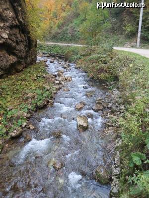 [P19] Râul Bistrița înainte de a intra în chei.  » foto by tata123 🔱
 - 
<span class="allrVoted glyphicon glyphicon-heart hidden" id="av602783"></span>
<a class="m-l-10 hidden" id="sv602783" onclick="voting_Foto_DelVot(,602783,4898)" role="button">șterge vot <span class="glyphicon glyphicon-remove"></span></a>
<a id="v9602783" class=" c-red"  onclick="voting_Foto_SetVot(602783)" role="button"><span class="glyphicon glyphicon-heart-empty"></span> <b>LIKE</b> = Votează poza</a> <img class="hidden"  id="f602783W9" src="/imagini/loader.gif" border="0" /><span class="AjErrMes hidden" id="e602783ErM"></span>