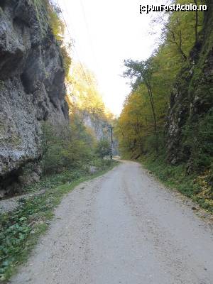 [P20] Drumul forestier către Peștera Urșilor.  » foto by tata123 🔱
 - 
<span class="allrVoted glyphicon glyphicon-heart hidden" id="av602785"></span>
<a class="m-l-10 hidden" id="sv602785" onclick="voting_Foto_DelVot(,602785,4898)" role="button">șterge vot <span class="glyphicon glyphicon-remove"></span></a>
<a id="v9602785" class=" c-red"  onclick="voting_Foto_SetVot(602785)" role="button"><span class="glyphicon glyphicon-heart-empty"></span> <b>LIKE</b> = Votează poza</a> <img class="hidden"  id="f602785W9" src="/imagini/loader.gif" border="0" /><span class="AjErrMes hidden" id="e602785ErM"></span>