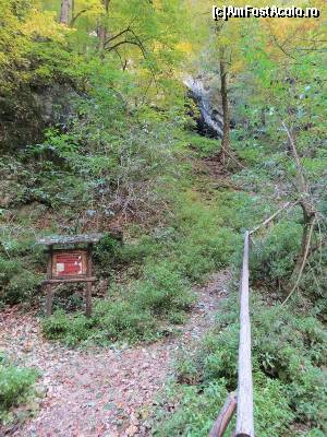 [P21] Traseu abrupt către Peștera Urșilor.  » foto by tata123 🔱
 - 
<span class="allrVoted glyphicon glyphicon-heart hidden" id="av602787"></span>
<a class="m-l-10 hidden" id="sv602787" onclick="voting_Foto_DelVot(,602787,4898)" role="button">șterge vot <span class="glyphicon glyphicon-remove"></span></a>
<a id="v9602787" class=" c-red"  onclick="voting_Foto_SetVot(602787)" role="button"><span class="glyphicon glyphicon-heart-empty"></span> <b>LIKE</b> = Votează poza</a> <img class="hidden"  id="f602787W9" src="/imagini/loader.gif" border="0" /><span class="AjErrMes hidden" id="e602787ErM"></span>