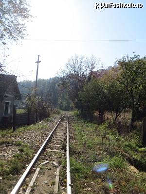 [P24] Linia ferată îngustă ce transportă calcarul.  » foto by tata123 🔱
 - 
<span class="allrVoted glyphicon glyphicon-heart hidden" id="av602792"></span>
<a class="m-l-10 hidden" id="sv602792" onclick="voting_Foto_DelVot(,602792,4898)" role="button">șterge vot <span class="glyphicon glyphicon-remove"></span></a>
<a id="v9602792" class=" c-red"  onclick="voting_Foto_SetVot(602792)" role="button"><span class="glyphicon glyphicon-heart-empty"></span> <b>LIKE</b> = Votează poza</a> <img class="hidden"  id="f602792W9" src="/imagini/loader.gif" border="0" /><span class="AjErrMes hidden" id="e602792ErM"></span>