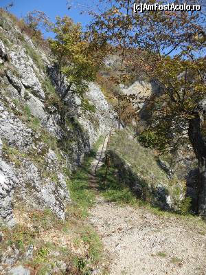 [P06] Cărare către Peștera Sf. Grigore Decapolitul.  » foto by tata123 🔱
 - 
<span class="allrVoted glyphicon glyphicon-heart hidden" id="av602764"></span>
<a class="m-l-10 hidden" id="sv602764" onclick="voting_Foto_DelVot(,602764,4898)" role="button">șterge vot <span class="glyphicon glyphicon-remove"></span></a>
<a id="v9602764" class=" c-red"  onclick="voting_Foto_SetVot(602764)" role="button"><span class="glyphicon glyphicon-heart-empty"></span> <b>LIKE</b> = Votează poza</a> <img class="hidden"  id="f602764W9" src="/imagini/loader.gif" border="0" /><span class="AjErrMes hidden" id="e602764ErM"></span>