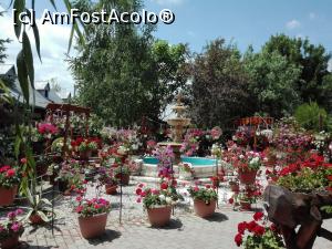 [P11] Flori, flori, flori si o alta fantana arteziana » foto by donna77
 - 
<span class="allrVoted glyphicon glyphicon-heart hidden" id="av871550"></span>
<a class="m-l-10 hidden" id="sv871550" onclick="voting_Foto_DelVot(,871550,4901)" role="button">șterge vot <span class="glyphicon glyphicon-remove"></span></a>
<a id="v9871550" class=" c-red"  onclick="voting_Foto_SetVot(871550)" role="button"><span class="glyphicon glyphicon-heart-empty"></span> <b>LIKE</b> = Votează poza</a> <img class="hidden"  id="f871550W9" src="/imagini/loader.gif" border="0" /><span class="AjErrMes hidden" id="e871550ErM"></span>