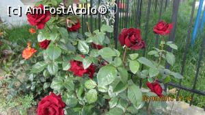 [P41]  -- <small>// FĂRĂ DESCRIERE</small> » foto by NAZARICA
 - 
<span class="allrVoted glyphicon glyphicon-heart hidden" id="av749284"></span>
<a class="m-l-10 hidden" id="sv749284" onclick="voting_Foto_DelVot(,749284,4901)" role="button">șterge vot <span class="glyphicon glyphicon-remove"></span></a>
<a id="v9749284" class=" c-red"  onclick="voting_Foto_SetVot(749284)" role="button"><span class="glyphicon glyphicon-heart-empty"></span> <b>LIKE</b> = Votează poza</a> <img class="hidden"  id="f749284W9" src="/imagini/loader.gif" border="0" /><span class="AjErrMes hidden" id="e749284ErM"></span>