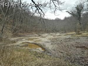 [P10] De langa Lacul Mierlei, incepe traseul "Valea cu namol" » foto by dorgo
 - 
<span class="allrVoted glyphicon glyphicon-heart hidden" id="av1229560"></span>
<a class="m-l-10 hidden" id="sv1229560" onclick="voting_Foto_DelVot(,1229560,4909)" role="button">șterge vot <span class="glyphicon glyphicon-remove"></span></a>
<a id="v91229560" class=" c-red"  onclick="voting_Foto_SetVot(1229560)" role="button"><span class="glyphicon glyphicon-heart-empty"></span> <b>LIKE</b> = Votează poza</a> <img class="hidden"  id="f1229560W9" src="/imagini/loader.gif" border="0" /><span class="AjErrMes hidden" id="e1229560ErM"></span>