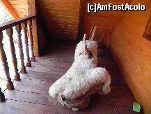 [P36] Terasa, cu un ciudat obiect- m-am gandit imediat la 'calul balan' al Smarandei lui Creanga, unde se incasau bataile... » foto by trandafir 1970*
 - 
<span class="allrVoted glyphicon glyphicon-heart hidden" id="av117612"></span>
<a class="m-l-10 hidden" id="sv117612" onclick="voting_Foto_DelVot(,117612,4933)" role="button">șterge vot <span class="glyphicon glyphicon-remove"></span></a>
<a id="v9117612" class=" c-red"  onclick="voting_Foto_SetVot(117612)" role="button"><span class="glyphicon glyphicon-heart-empty"></span> <b>LIKE</b> = Votează poza</a> <img class="hidden"  id="f117612W9" src="/imagini/loader.gif" border="0" /><span class="AjErrMes hidden" id="e117612ErM"></span>