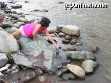 [P44] Cel mai bun frigider... » foto by trandafir 1970*
 - 
<span class="allrVoted glyphicon glyphicon-heart hidden" id="av117641"></span>
<a class="m-l-10 hidden" id="sv117641" onclick="voting_Foto_DelVot(,117641,4933)" role="button">șterge vot <span class="glyphicon glyphicon-remove"></span></a>
<a id="v9117641" class=" c-red"  onclick="voting_Foto_SetVot(117641)" role="button"><span class="glyphicon glyphicon-heart-empty"></span> <b>LIKE</b> = Votează poza</a> <img class="hidden"  id="f117641W9" src="/imagini/loader.gif" border="0" /><span class="AjErrMes hidden" id="e117641ErM"></span>