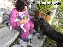 [P48] Cei mai buni prieteni ai omului, dar si animalutele se plac... » foto by trandafir 1970*
 - 
<span class="allrVoted glyphicon glyphicon-heart hidden" id="av117656"></span>
<a class="m-l-10 hidden" id="sv117656" onclick="voting_Foto_DelVot(,117656,4933)" role="button">șterge vot <span class="glyphicon glyphicon-remove"></span></a>
<a id="v9117656" class=" c-red"  onclick="voting_Foto_SetVot(117656)" role="button"><span class="glyphicon glyphicon-heart-empty"></span> <b>LIKE</b> = Votează poza</a> <img class="hidden"  id="f117656W9" src="/imagini/loader.gif" border="0" /><span class="AjErrMes hidden" id="e117656ErM"></span>