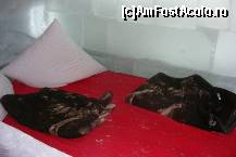 [P03] Pat dintr-una dintre camere. Proprietarii pun la dispozitie paturi si perne, restul... » foto by IUBONI
 - 
<span class="allrVoted glyphicon glyphicon-heart hidden" id="av92666"></span>
<a class="m-l-10 hidden" id="sv92666" onclick="voting_Foto_DelVot(,92666,4967)" role="button">șterge vot <span class="glyphicon glyphicon-remove"></span></a>
<a id="v992666" class=" c-red"  onclick="voting_Foto_SetVot(92666)" role="button"><span class="glyphicon glyphicon-heart-empty"></span> <b>LIKE</b> = Votează poza</a> <img class="hidden"  id="f92666W9" src="/imagini/loader.gif" border="0" /><span class="AjErrMes hidden" id="e92666ErM"></span>