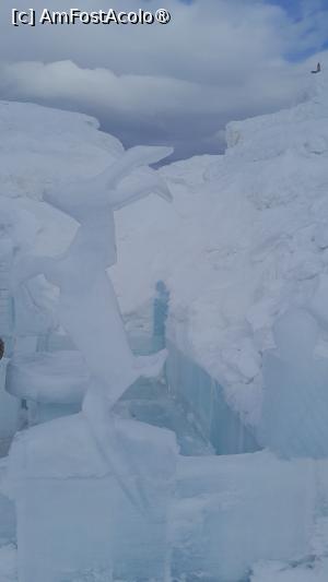 [P33] capra neagra din gheata la intrare » foto by Yolanda
 - 
<span class="allrVoted glyphicon glyphicon-heart hidden" id="av1413814"></span>
<a class="m-l-10 hidden" id="sv1413814" onclick="voting_Foto_DelVot(,1413814,4967)" role="button">șterge vot <span class="glyphicon glyphicon-remove"></span></a>
<a id="v91413814" class=" c-red"  onclick="voting_Foto_SetVot(1413814)" role="button"><span class="glyphicon glyphicon-heart-empty"></span> <b>LIKE</b> = Votează poza</a> <img class="hidden"  id="f1413814W9" src="/imagini/loader.gif" border="0" /><span class="AjErrMes hidden" id="e1413814ErM"></span>