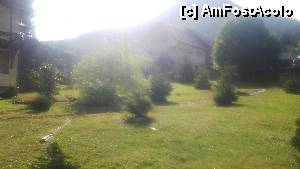 [P02]  -- <small>// FĂRĂ DESCRIERE</small> » foto by florin99
 - 
<span class="allrVoted glyphicon glyphicon-heart hidden" id="av469932"></span>
<a class="m-l-10 hidden" id="sv469932" onclick="voting_Foto_DelVot(,469932,4977)" role="button">șterge vot <span class="glyphicon glyphicon-remove"></span></a>
<a id="v9469932" class=" c-red"  onclick="voting_Foto_SetVot(469932)" role="button"><span class="glyphicon glyphicon-heart-empty"></span> <b>LIKE</b> = Votează poza</a> <img class="hidden"  id="f469932W9" src="/imagini/loader.gif" border="0" /><span class="AjErrMes hidden" id="e469932ErM"></span>